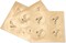 12 Pack Blank Greeting Cards with Envelopes – Blossoms & Butterfly Design Stationery Set | Pink Envelopes with Gold Seals for Birthday, Thank You, Anniversary & Everyday Notes